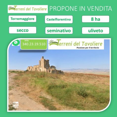 Terreno agricolo – Torremaggiore, località Castelfiorentino