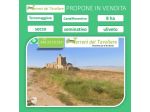 Terreno agricolo – Torremaggiore, località Castelfiorentino