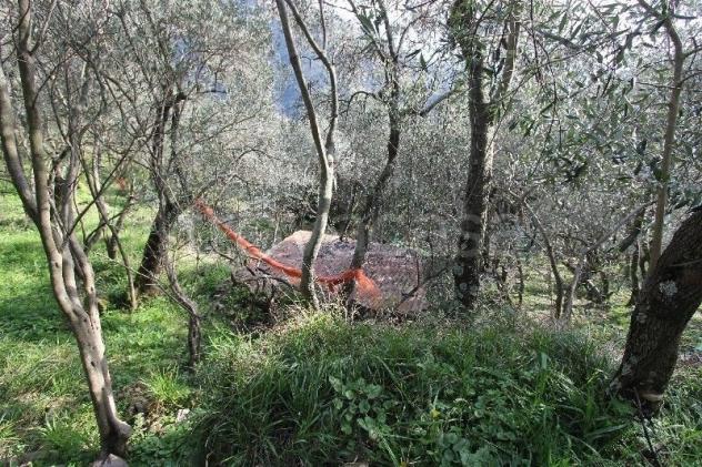 Rustico in vendita a Vernazza 25 mq Rif: 1036225 - Foto 8