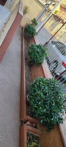 Ampia soluzione indipendente con spazi laterali sita in Via G. Pepe, Cicciano. - Foto 3