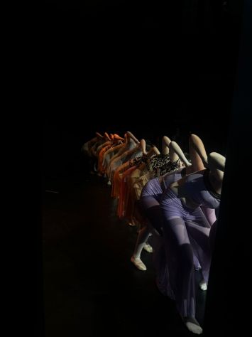 Danza Classica Giovani Avanzati ed Intermedi - Foto 2