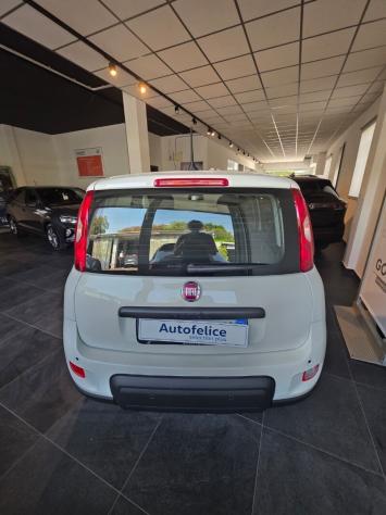 FIAT Panda 3ª serie Panda 1.0 FireFly S&S Hybrid Pandina - Foto 4