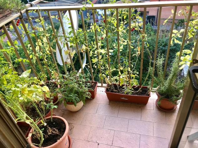 Appartamento in vendita a Marina di Pisa - Pisa 80 mq Rif: 728173 - Foto 7