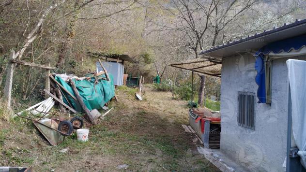 Alassio, terreno di circa 6.000 mq. con progetto per costruire una villa. - Foto 13