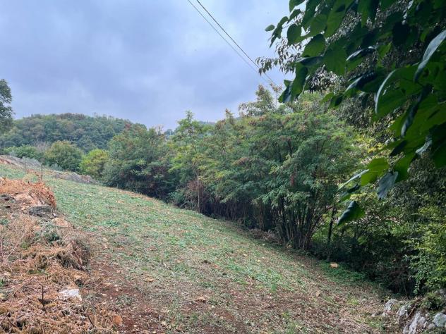 Terreno edificabile in vendita a Barbarano Mossano - Foto 7