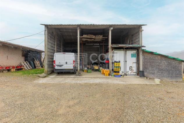 PODERE CON TERRENO AGRICOLO, LAGHETTO E DUE ABITAZIONI INDIPENDENTI - Foto 14