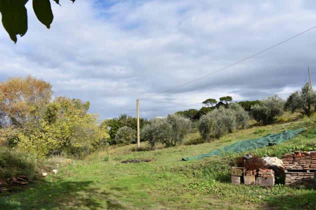 COLONICA di 7 vani e di 550 mq (MONTAIONE) rif. M 200 - Foto 13
