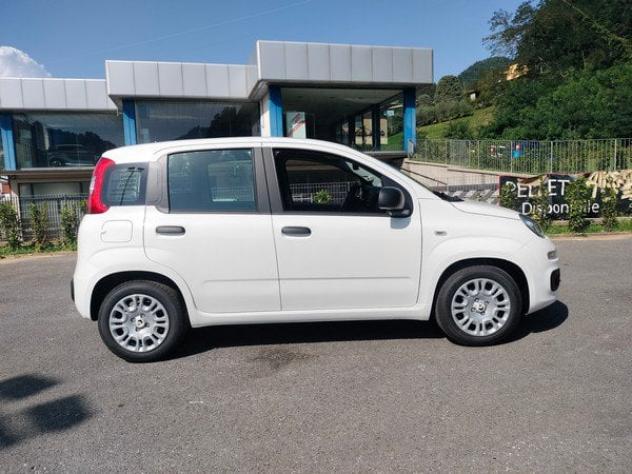 FIAT Pandina 1.0 FireFly 65cv S&S Hybrid Icon GPL!! Con comandi al volante!! - Foto 4