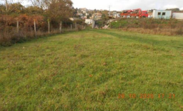 Immobile in asta di 5721 m² in vendita a Soveria Mannelli - Foto 4