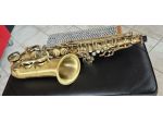 Sax Alto SELMER SA80 Style in Bronzo Satinato Nuovo (Garanzia)