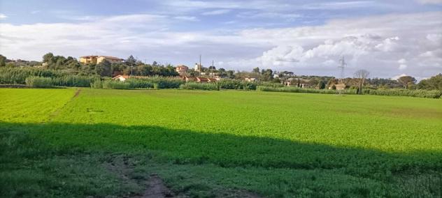 Agricolo in Via Nazareno Strampelli