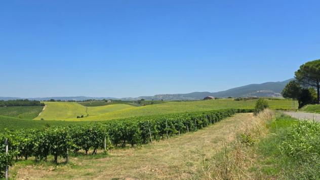 Casale in vendita a Baschi - Foto 20