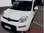 FIAT Panda 1.0 FireFly S&S Hybrid City Life rif. 24069782