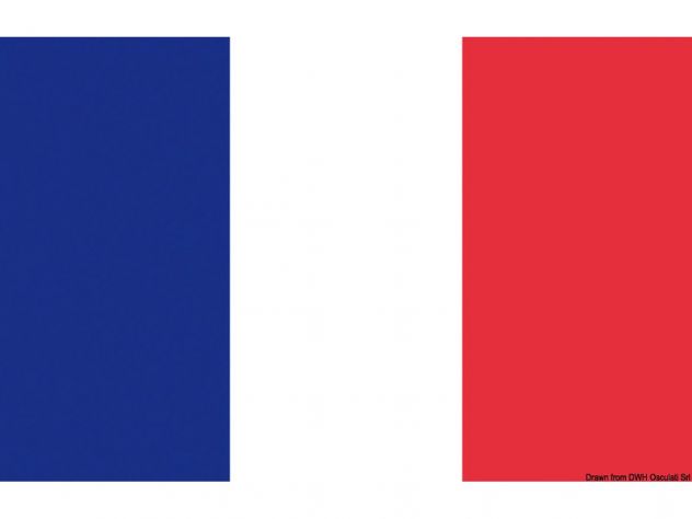Lezioni di francese personalizzate per privati e professionisti