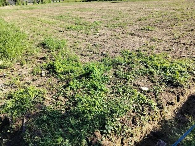 Terreno agricolo in vendita a Poveromo - Massa 1300 mq Rif: 1394710 - Foto 3