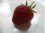 Fragola Zucchero