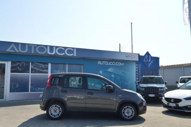 FIAT Panda 1.0 FireFly S&S Hybrid rif. 24046722 - Foto 2