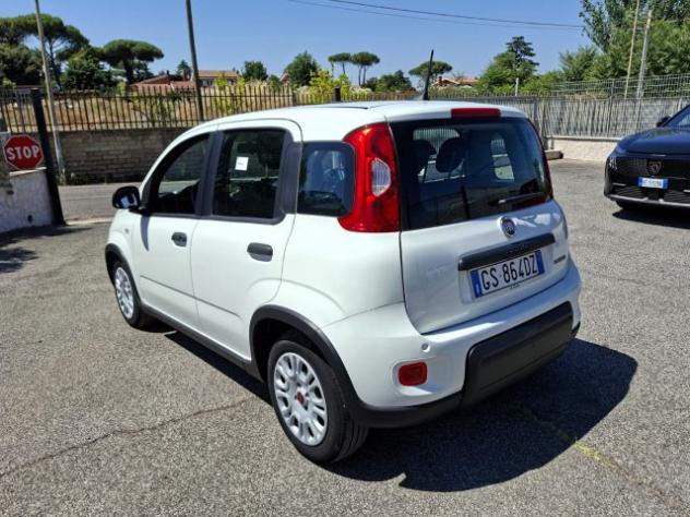 FIAT Panda 1.0 Hybrid CITY LIFE 5POSTI PREZZO REALE!! rif. 23926538 - Foto 4