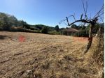 Terreno Residenziale - Fiuggi . Rif.: Cod. rif 3247343VRG
