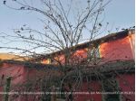 R.G.E. 369/2024 Pavia