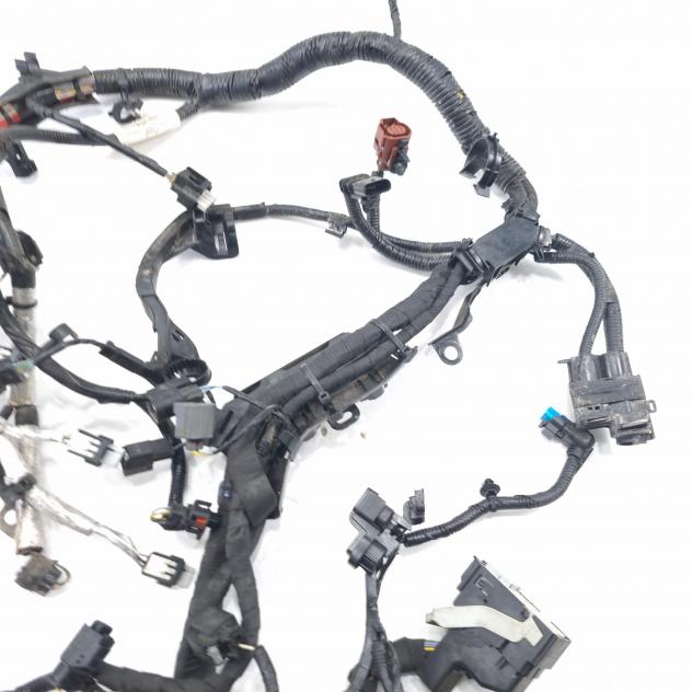 CABLAGGIO ELETTRICO MOTORE FORD EcoSport Serie JN15-12C508-BE SFJL Benzina 1000 (12) - Foto 11
