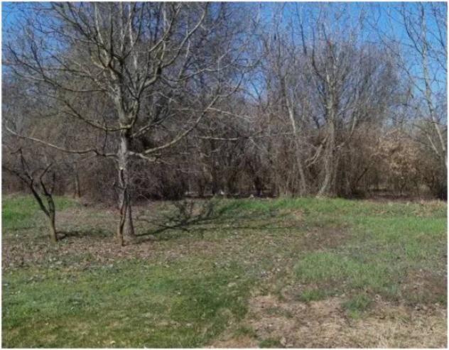 Immobile in asta di 13200 m² in vendita a Cremona - Foto 2