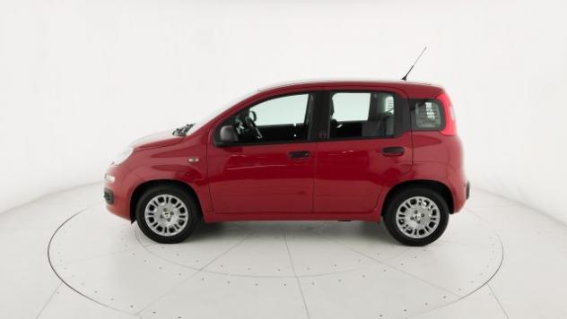 FIAT Pandina 1.0 FireFly 65 CV Hybrid Pop rif. 24152436 - Foto 4