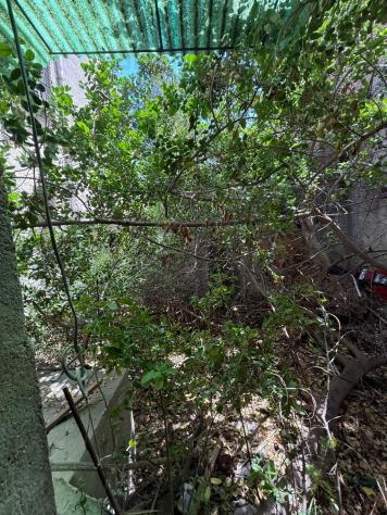 VILLA di 7 vani e di 180 mq (TORREGROTTA) rif. 2Vs18239 - Foto 3