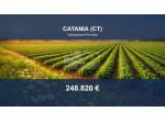 Immobile in asta di 205153 m² in vendita a Catania