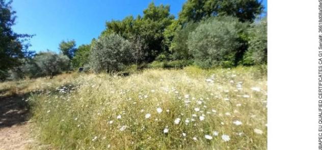 Immobile in asta di 175 m² in vendita a Montalcino - Foto 18