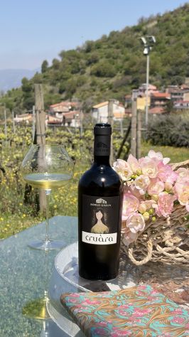 CERCHIAMO BARTENDER PER APERITIVI ED ESPERIENZE IN VIGNA - Foto 4