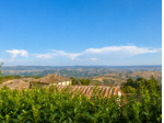 Pentalocale in vendita a Radicofani