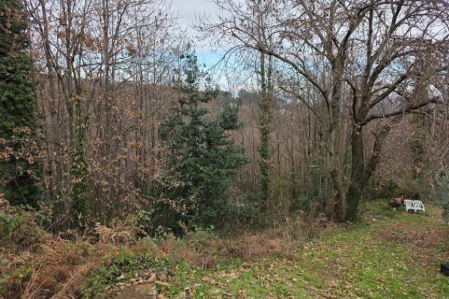 Terreno di 6110 m² in vendita a Velletri - Foto 8