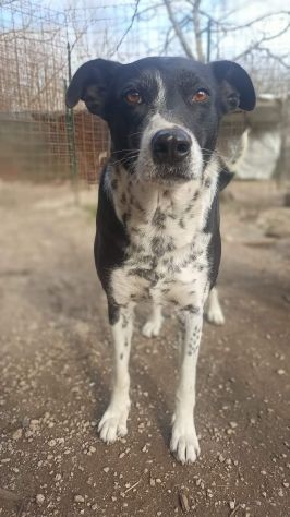 Kika - Foto 5