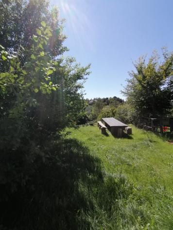 In una frazione del comune di Castell'Azzara, più precisamente a Selvena, dove sono presenti i servizi di prima necessità; , vendiamo appartamento su - Foto 4