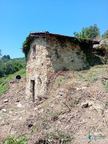 Vallebona VENDESI RUSTICO CON GIARDINO PRIVATO - Foto 2
