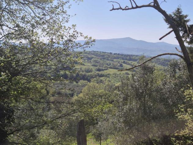 Rustico in vendita a Cinigiano - Foto 11
