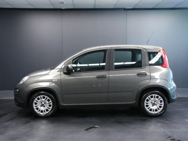 FIAT Panda 1.0 FireFly S&S Hybrid rif. 23817010 - Foto 6