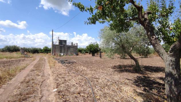 Terreno Agricolo - San Severo . Rif.: Cod. rif 3294216VCG - Foto 7