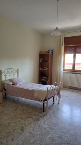 Locasi camere