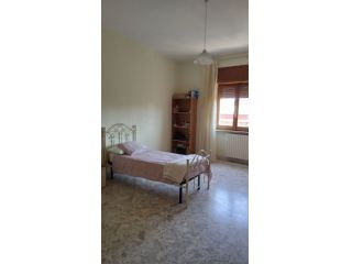 Locasi camere