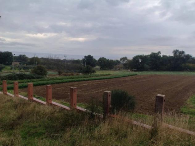Immobile in asta di 138900 m² in vendita a Ascoli Satriano - Foto 5