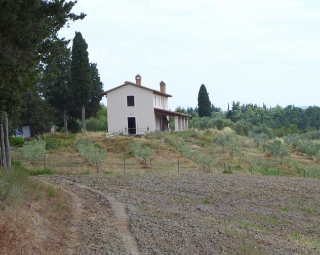 COLONICA di 10 vani e di 400 mq (SAN MINIATO) rif. C 400 - Foto 14