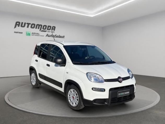 FIAT Panda VAN N1 4 POSTI 1.0 HYBRID rif. 24055425 - Foto 3