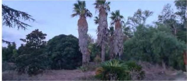 Immobile in asta di 164 m² in vendita a Lecce - Foto 11