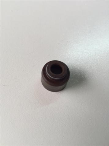 PARAOLIO VALVOLA MOT. MITS. CC 635