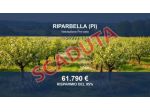 Immobile in asta di 220 m² in vendita a Riparbella