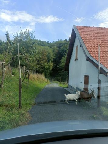 Rustico in vendita a Sassello - Foto 4