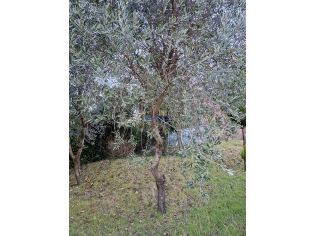 Casa di campagna in Via Capovilla - Foto 17