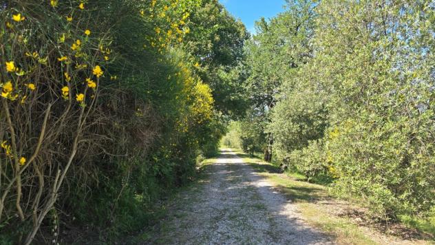 Casale in vendita a Castel Viscardo - Foto 4